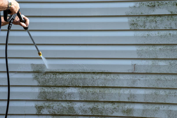 Affordable Siding Repair and Maintenance Services in Yalaha, FL